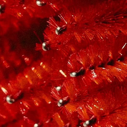 Holiday CryoSkin 3-Pack at Contour Cryo in Lake Wylie, SC